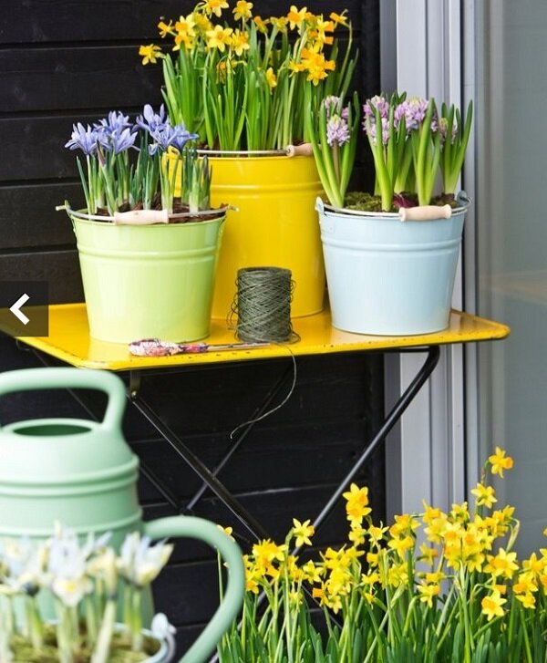 фото из интернета