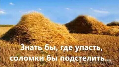 Картинка взята с открытых источников Яндекс поиск 