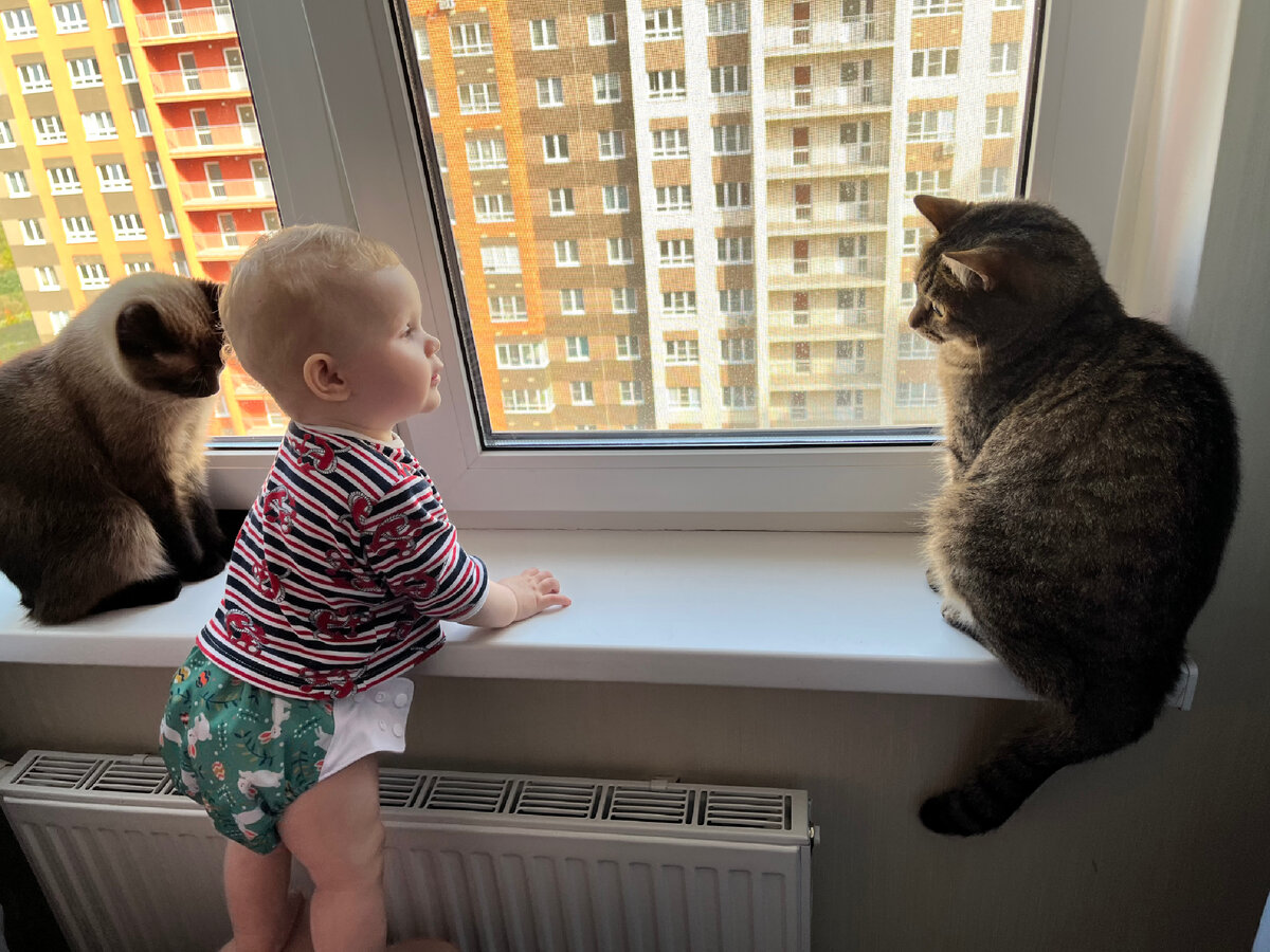 Вика проводит разъяснительную беседу.Марс внимателен, Мия даже загрустила. А может раскаивается ..) 