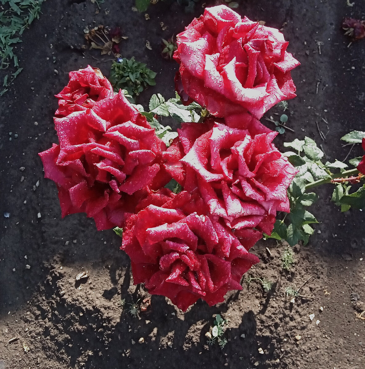 Фото автора канала. 