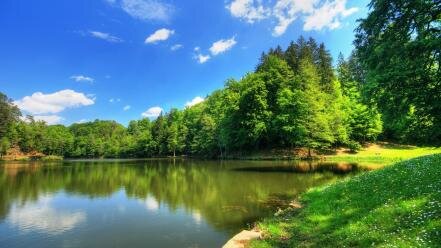 Фото взято из интернета