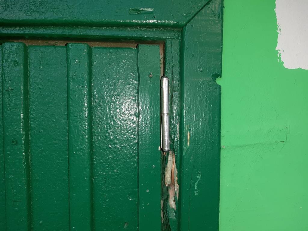 Фото: Валерия Акименко / КРАСНЫЙ СЕВЕР