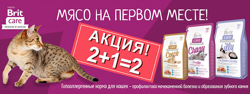 Подробнее https://animalpark.by/akciya-2-1-na-korma-brit-care-dlya-koshek.html