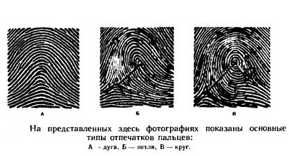 Отпечатки пальцев