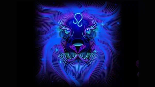 (фото из открытого доступа в интернете)