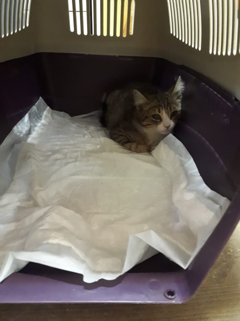 Сёма в клинике