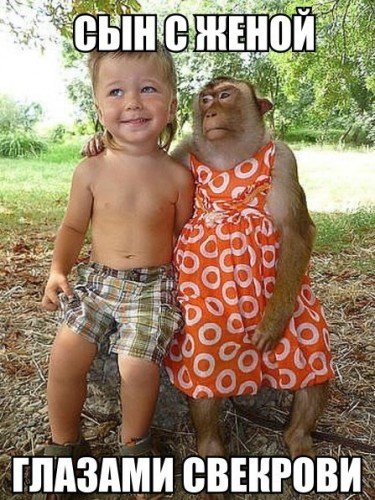 Изображение из открытых источников