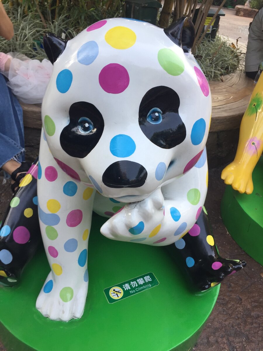 Видимо панда все таки пообщалась с парнем из рекламы драже