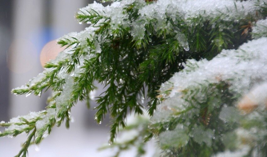 Фото: архив