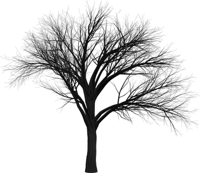https://cdn.pixabay.com/photo/2016/09/29/02/55/tree-1702031__340.png