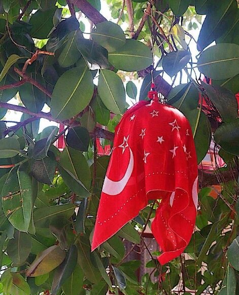 Жить в Турции не так уж и дешево, как можно было бы подумать.