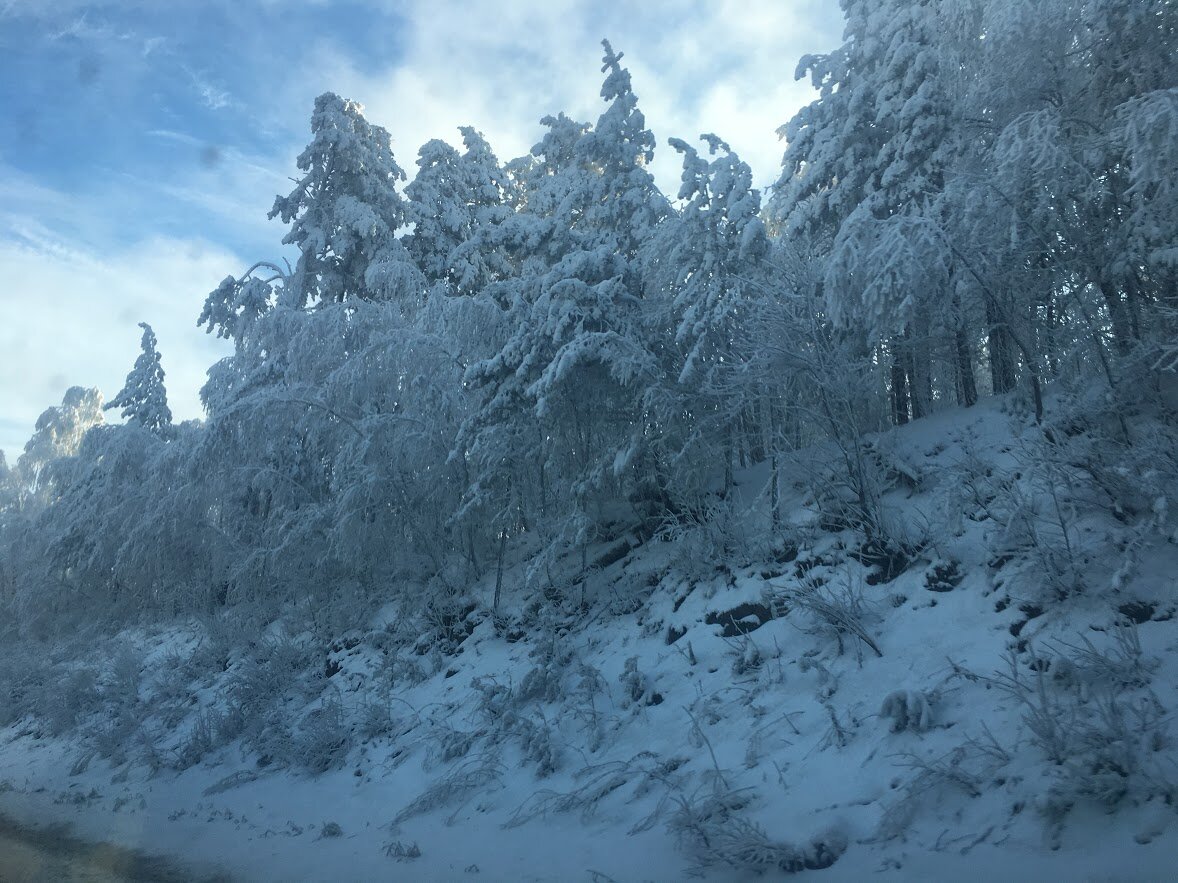 Зимние пейзажи на дорогах