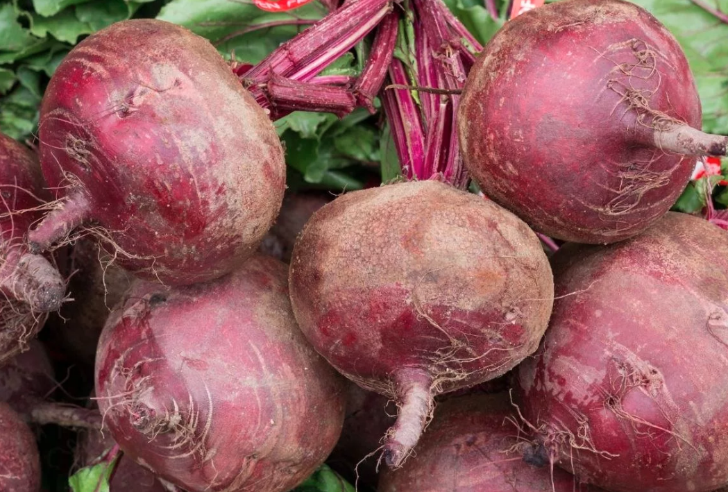 Свёкла. Недооценённый овощ. Одно из первых средств для содержания всего организма в надлежащем порядке. 
