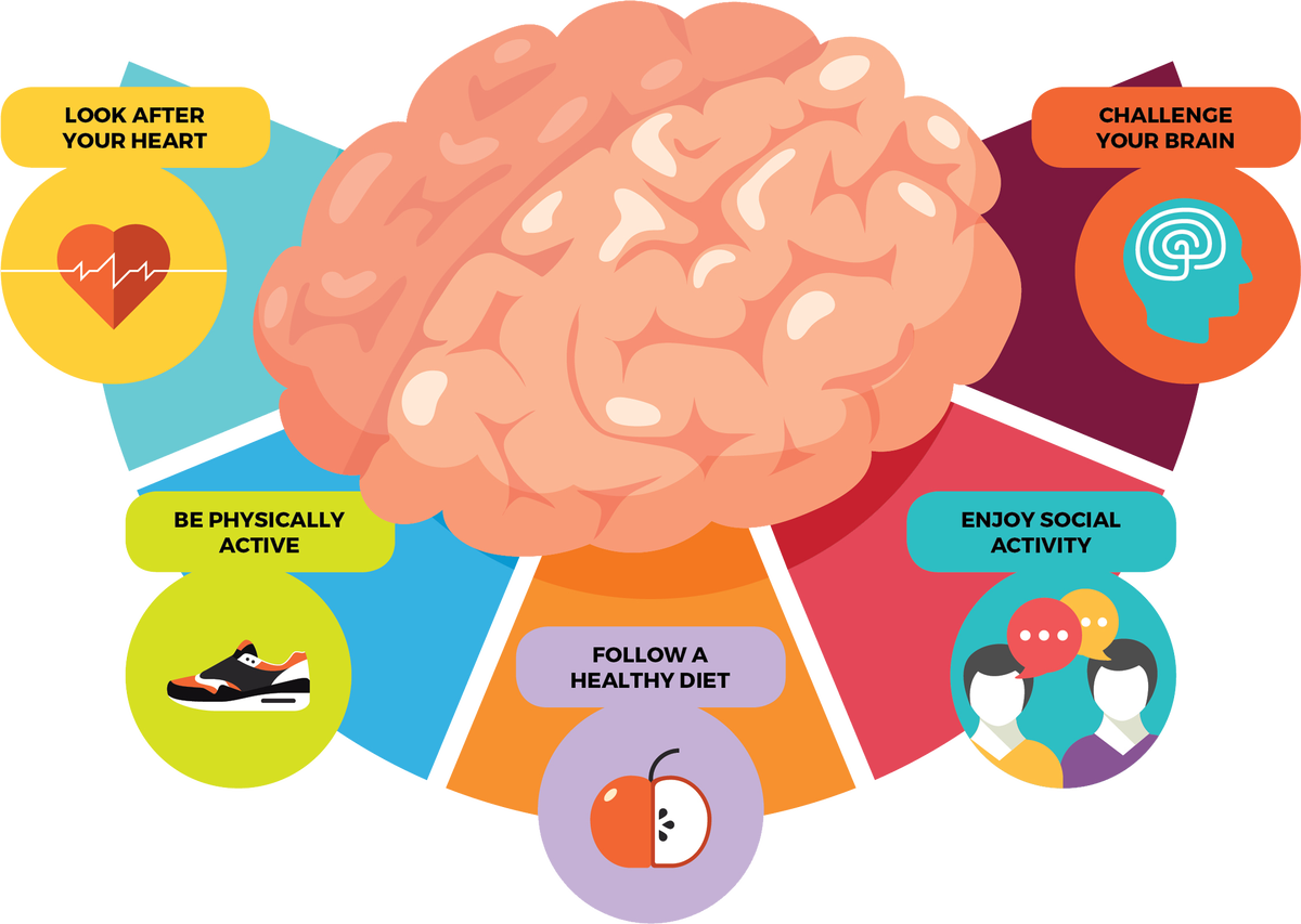 Пять способов снизить риск деменции: тренировка сердечно-сосудистой системы, увеличить физическую активность, соблюдение полезной диеты, практика умственной работы, социальная активность.