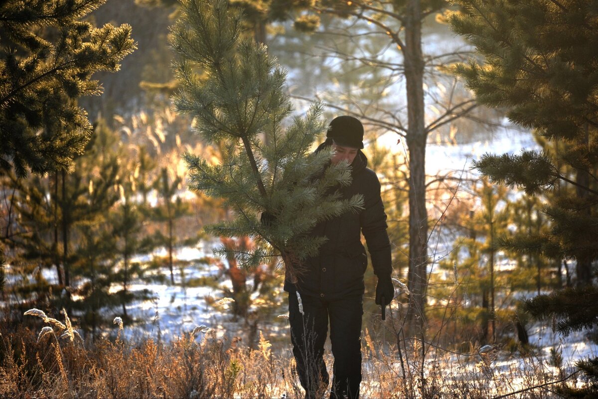 Фото: Евгений Епанчинцев / РИА Новости