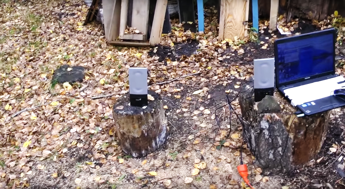 !!!подставки выполнены из натурального дерева!!!!