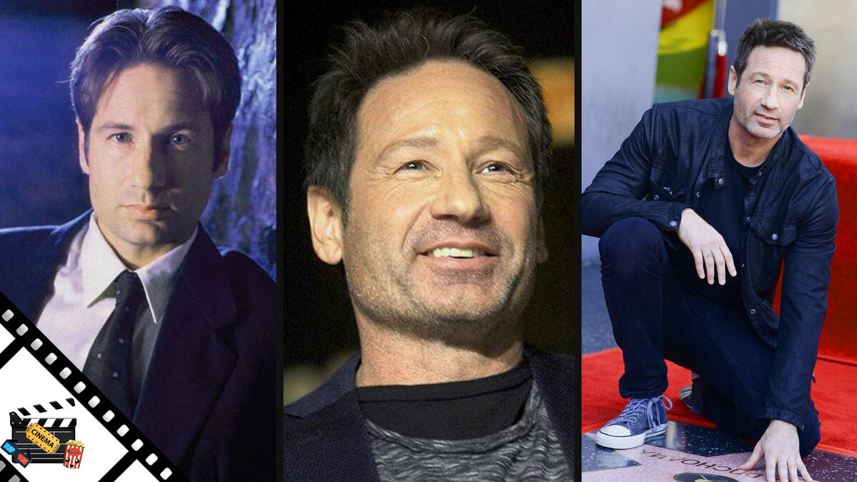 Подпишитесь на канал и поставьте лайк! Вы поможете развитию канала!