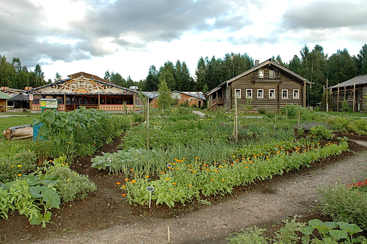 возрождение деревни