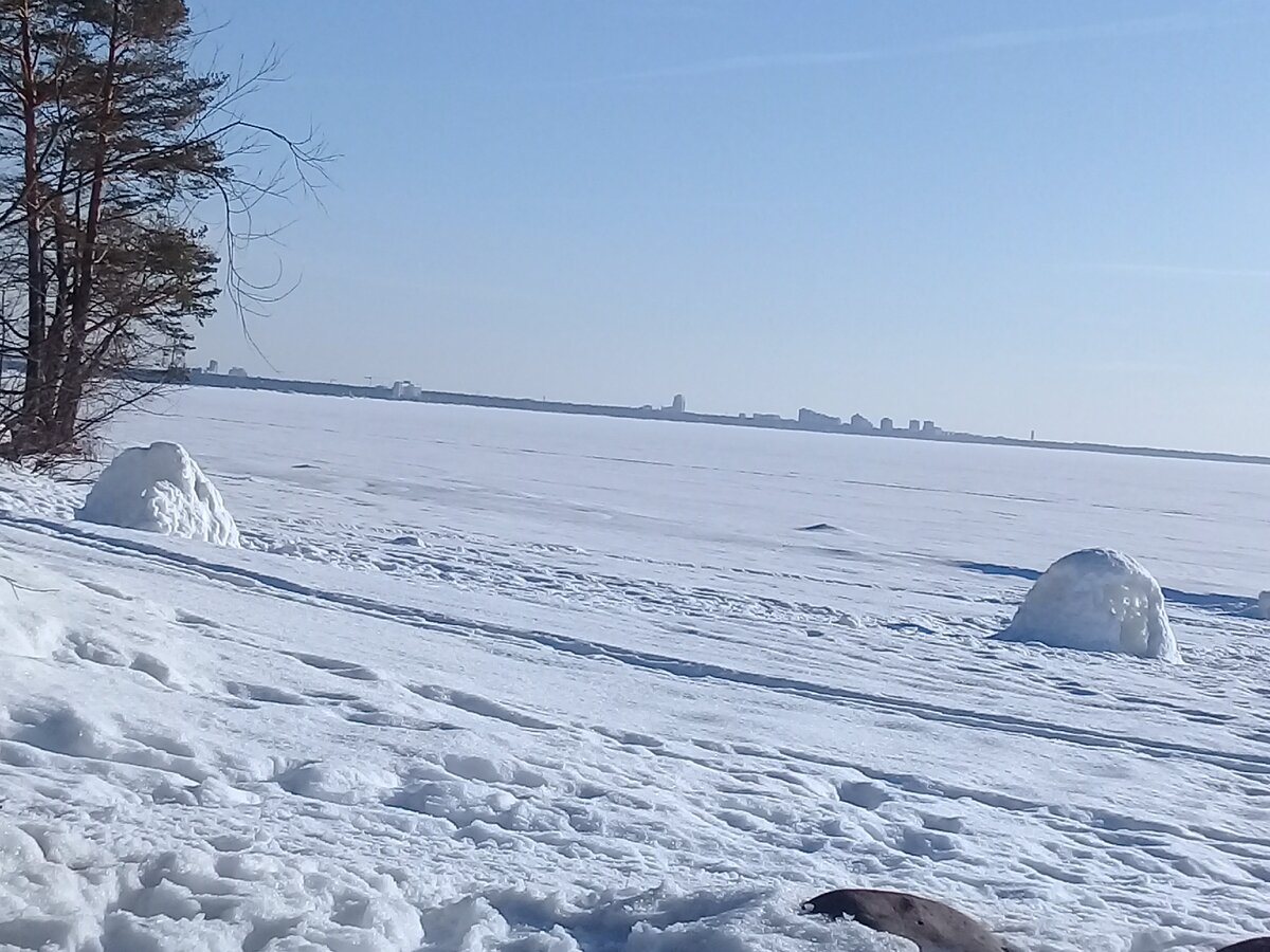 зеленогорск санкт петербург зимой