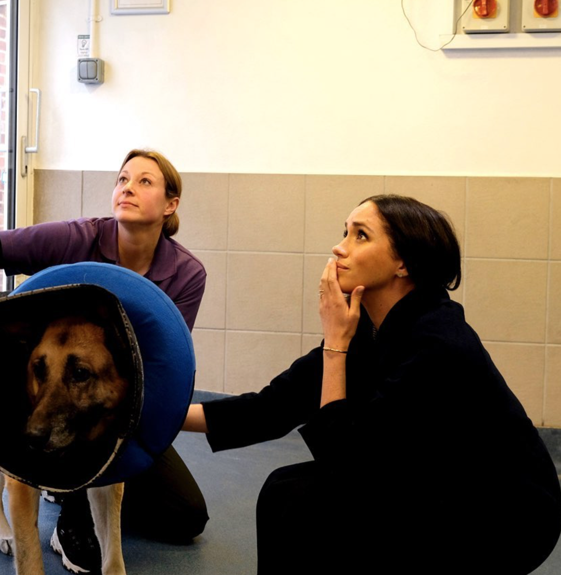 Мэган Маркл (инстаграм герцогов Сассекских SussexRoyal )