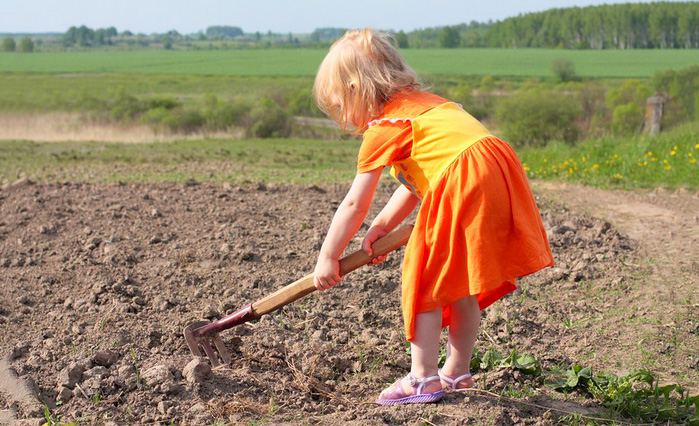 картинка из интернета