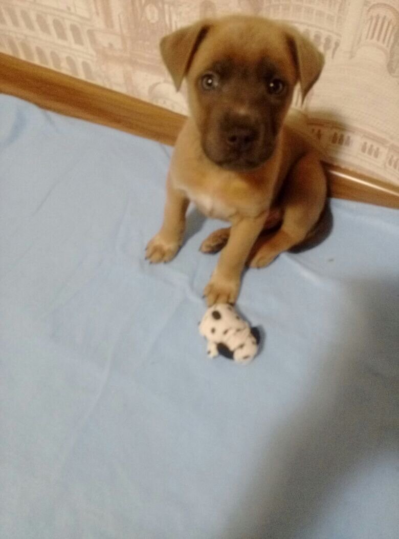 Самое чудо собственно говоря)