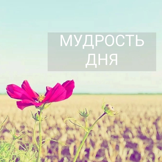 Елеся Астро