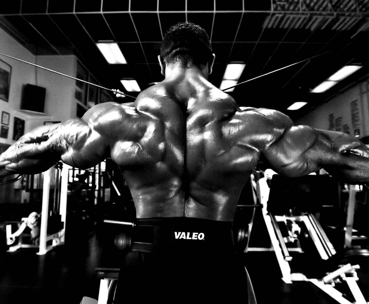 яндекс картинки