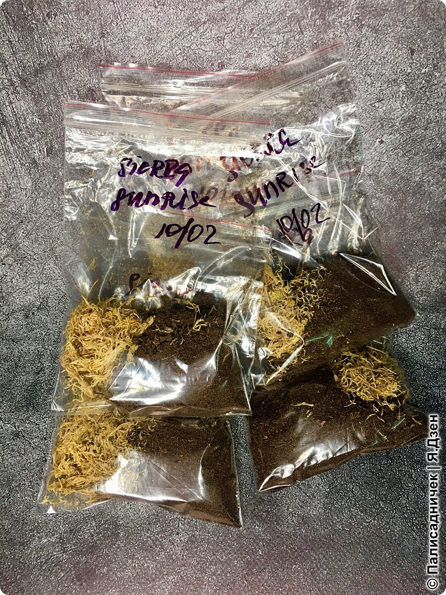 5 штук таких, по числу листочков.