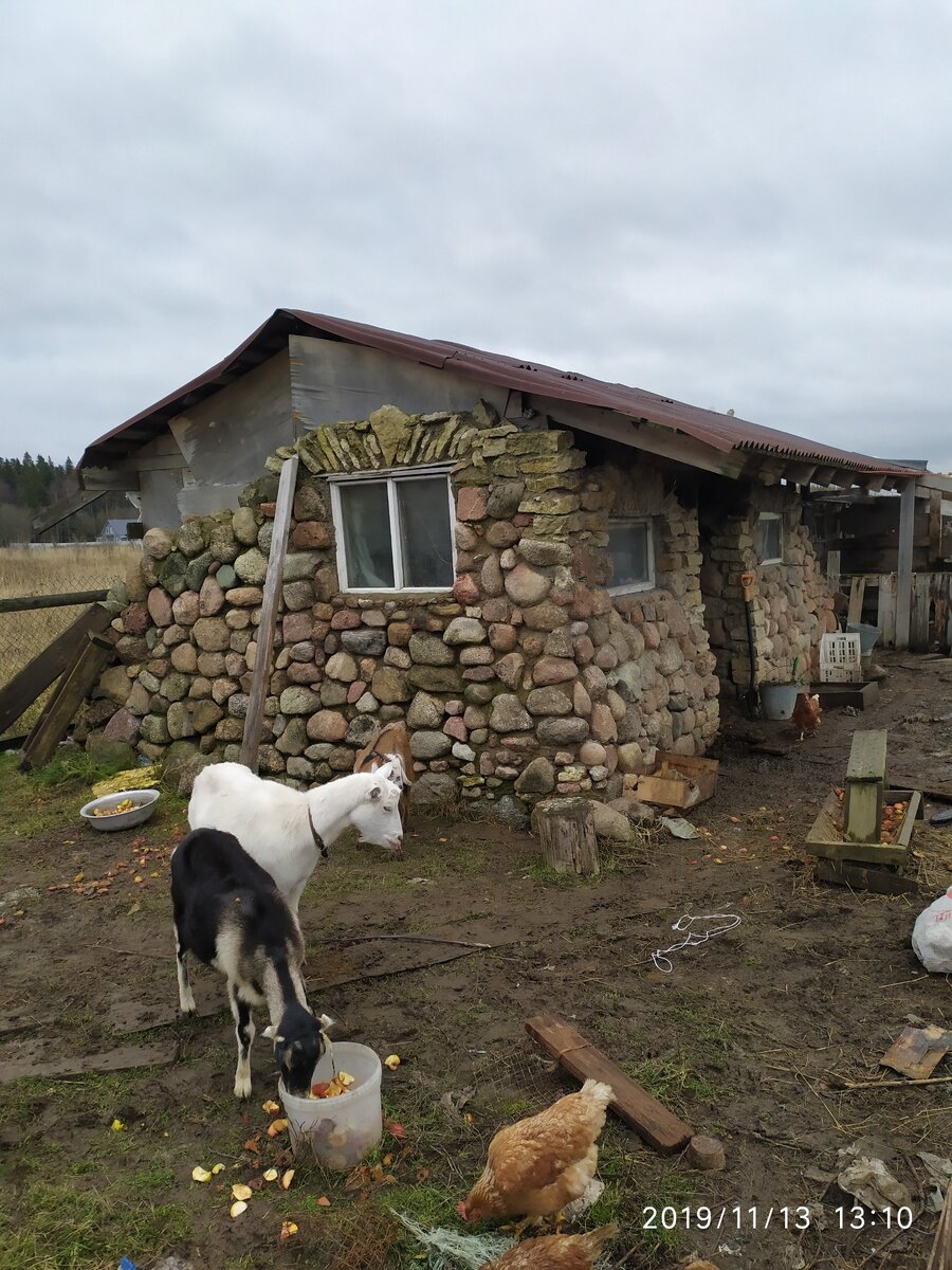 Козий сарай