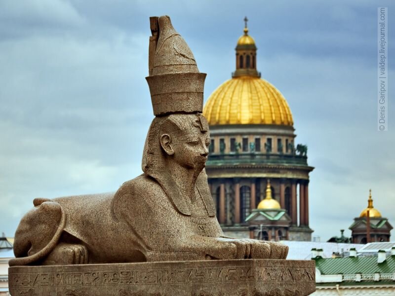 сфинксысфинксы на университетской набережной в санкт-петербурге. сфинксы фараона аменхотепа iii санкт петербург. сфинксы в санкт петербурге история. сфинксы на свердловской набережной в санкт-петербурге. сфинксы в санкт петербурге история.
