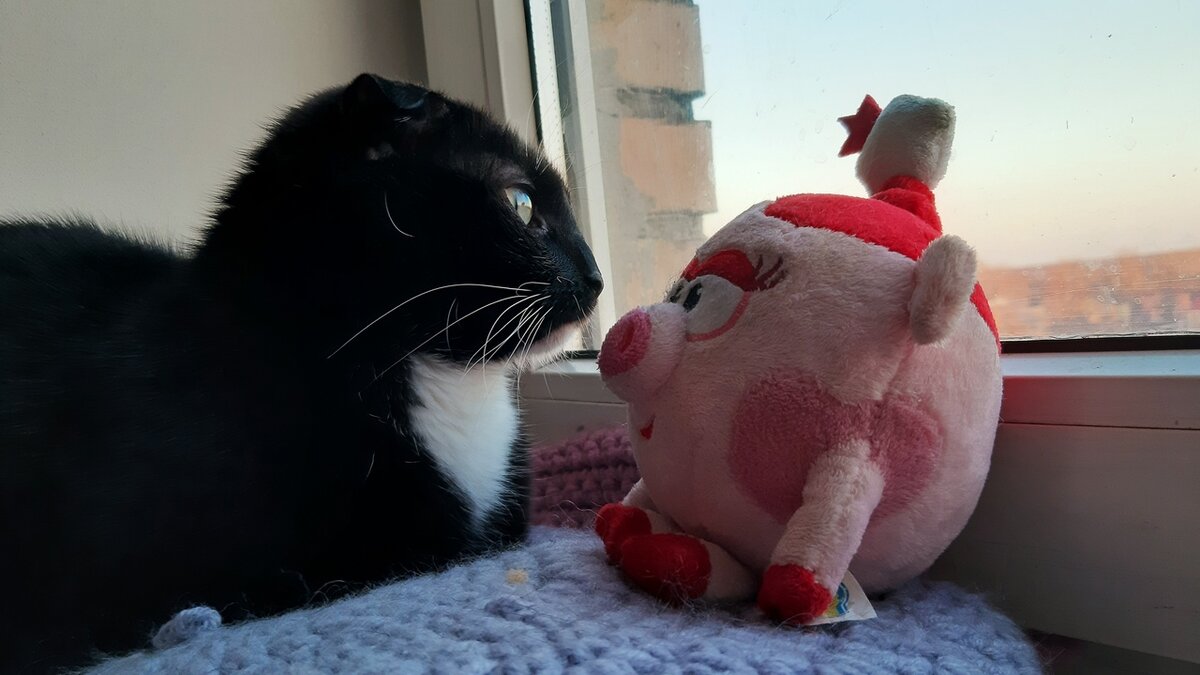 Сурен и Нюша