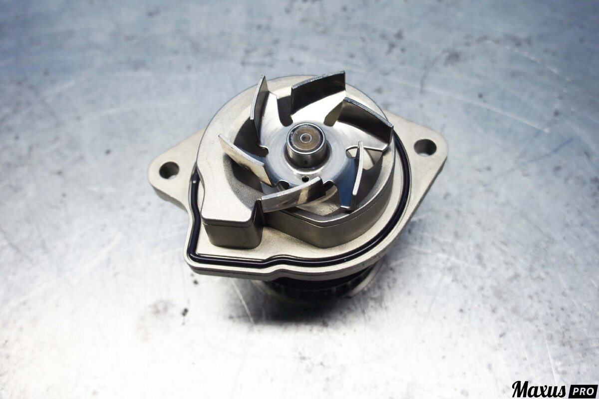 Фото с нашего архива