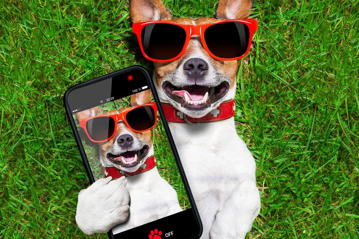 Фото из свободных источников