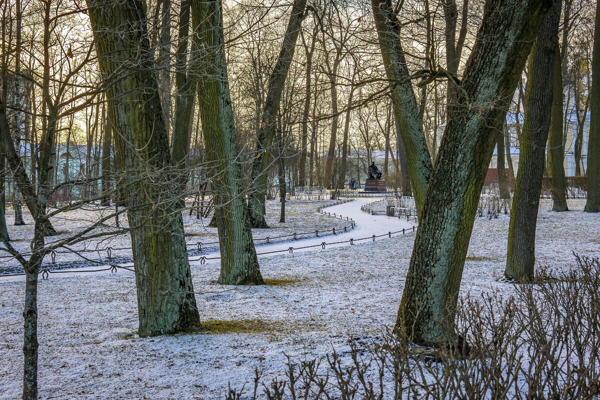 Лицеский сад. Март 2020.
