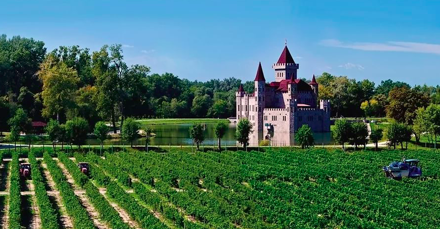 Замок Шато-Эркен Кабардино-Балкария. Кабардино-Балкария виноградники Шато Эркен. Замок Шато Эркен винодельня. Замок Шато-Эркен Кабардино-Балкария внутри.