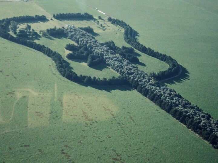 

Его возлюбленная очень любила игру на гитаре и ферму - поэтому муж  решил увековечить память о жене таким образом.