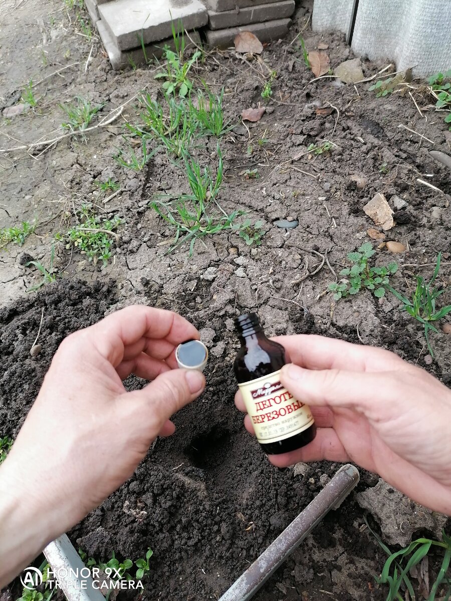 Собственный архив