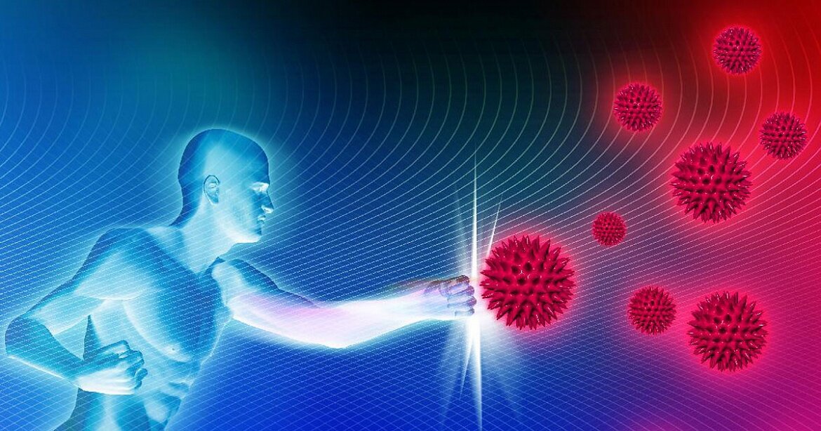 Как физическая активность воздействует на иммунитет. Механизмы улучшения иммунитета по средствам физкультуры.
