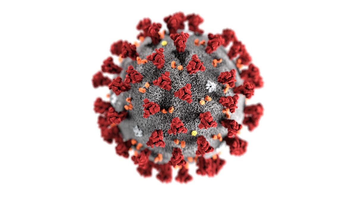 https://ekd.me/wp-content/uploads/2020/02/Coronavirus-CDC-1600x900.jpg