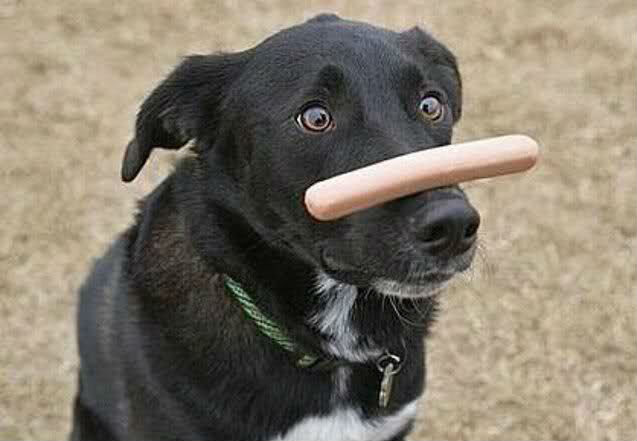 Испокон веков или по крайней мере с тех пор, как ученые принялись ковыряться в человеческих мозгах, считалось, что структура мозга неизменна. Это дело решенное, а не проект в стадии разработки. Мозг может меняться лишь в одну сторону — слабеть с возрастом. Но за последнее десятилетие нейробиологи обнаружили, что мозг — как жаждущий знаний ученик — поразительно чутко реагирует на любой опыт. Попросите его решать каждый день задачки, и он станет сильней в математике. Попросите его чаще волноваться, и он станет более беспокойным. Попросите сосредотачиваться, и он станет гораздо внимательнее.