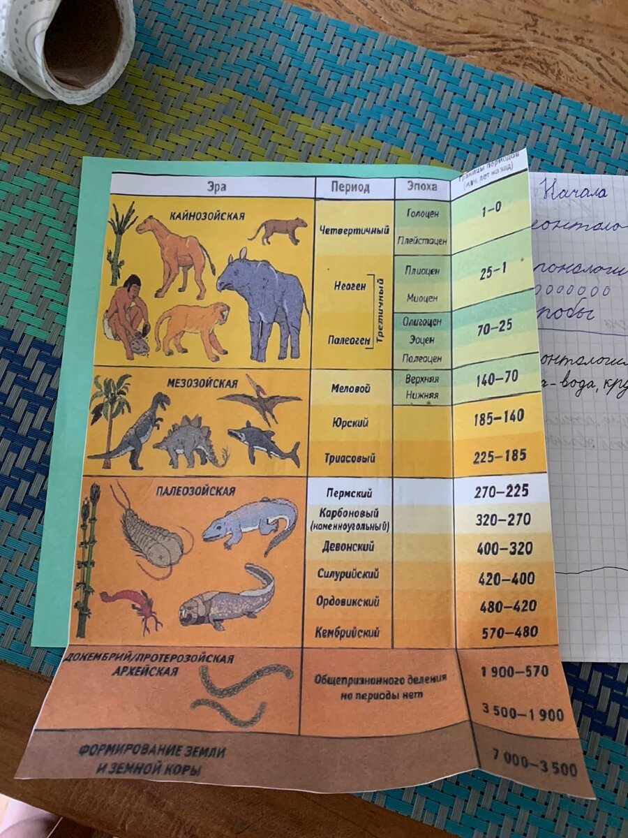 Записки из бразильской глуши - второй день карантина с тремя детьми