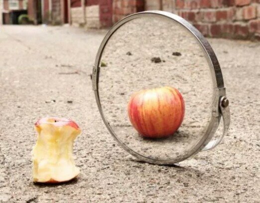 Фото взято из открытых источников.