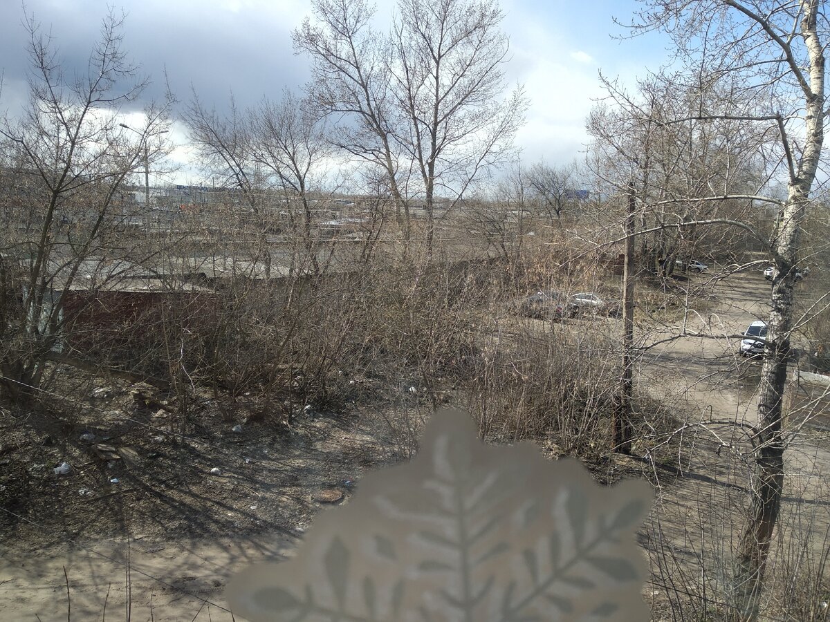 а из нашего окна оппа полная видна)) гаражные деппрессушки) но небо-то какое, а?))