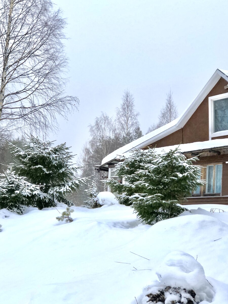 А может быть ответ лежит на поверхности? И мы просто хотим жить в красивом мире? А что сделает наш мир красивым как не вы сами и ваши дома? Ведь именно здесь,  в своем доме мечты я могу сотворить чудо и дать дорогу красоте – могу перекрасить стены, подобрать полотенца, убрать магнитики,  нарядить елку  как в лучшем отеле мира, купить цветы, чтобы на столе стоял красивый букет. Я не могу изменить весь этот мир.  Но свой я могу точно сделать лучше. А если за мной последуют тысячи, то красота спасет мир. И волшебство живет в простых деталях, в каждом из нас.