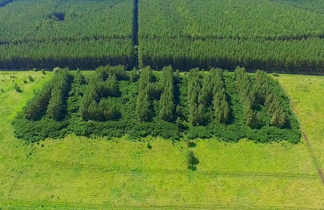 Гора извоз Челябинская область