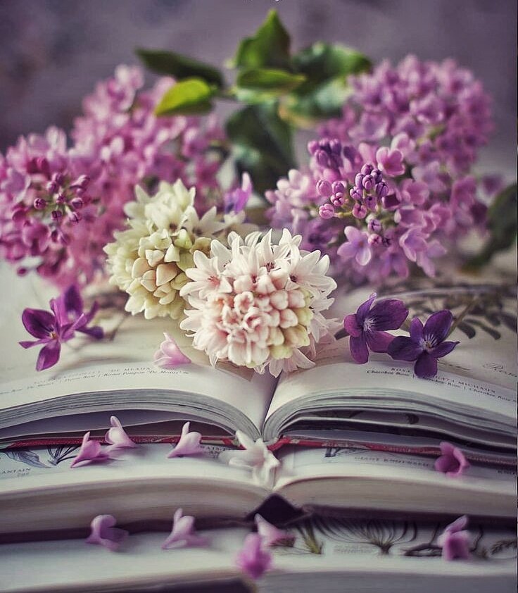 Фото с Pinterest 