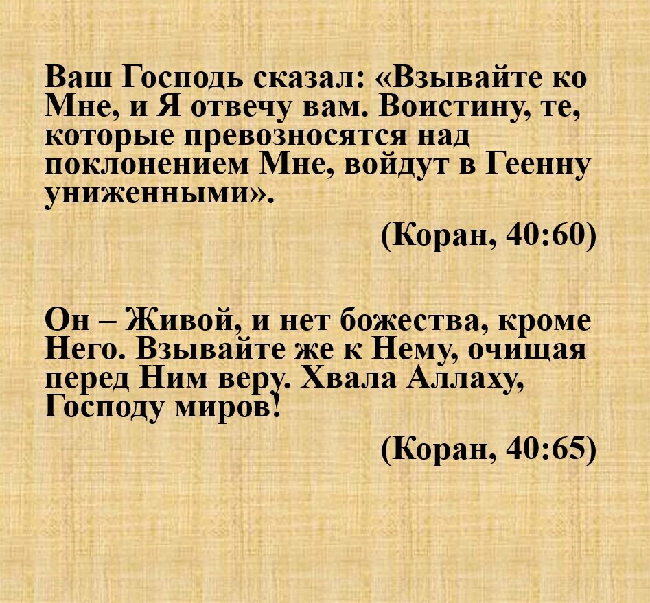 Аяты из Священного Корана, которые приносят вдохновение (7). | Ислам в  вопросах и ответах | Дзен