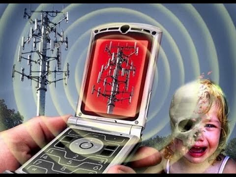 Основной вред