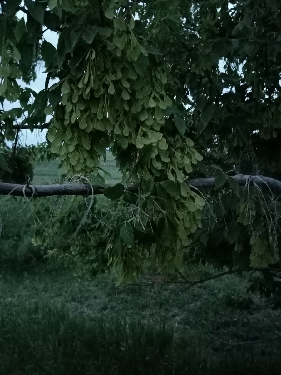 Казалось бы обычные 